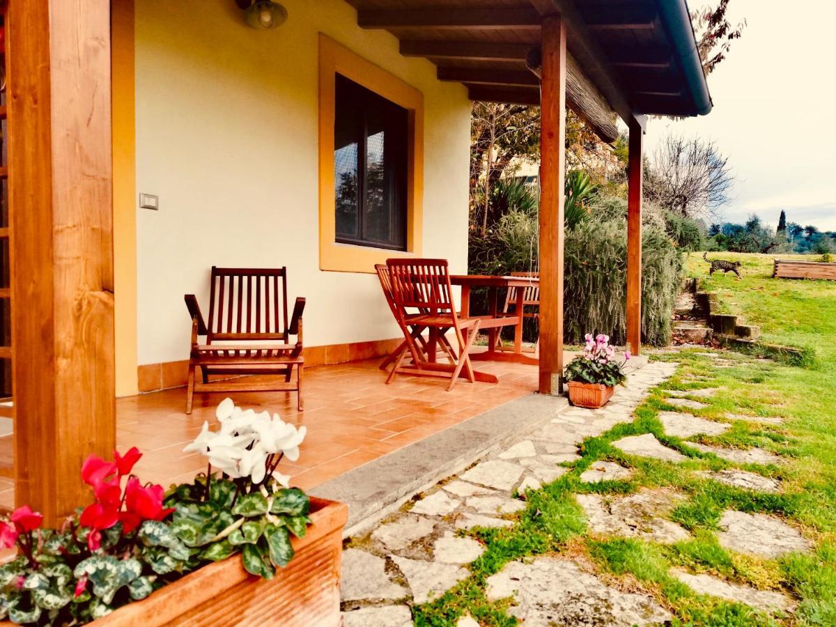 Hostal La Casa Nettarina Poggio Mirteto Exterior foto